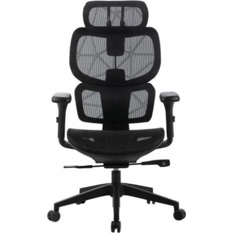 Кресло Cactus CS-MC555-BK черный сетка с подголов. крестов. пластик пластик черный
Кресло Cactus CS-MC555-BK черный сетка с подголов. крестов. пластик пластик черный