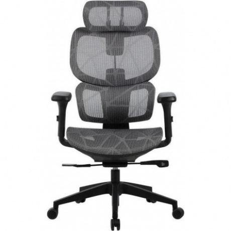 Кресло Cactus CS-MC555-GY черный/серый сетка с подголов. крестов. пластик пластик черный
Кресло Cactus CS-MC555-GY черный/серый сетка с подголов. крестов. пластик пластик черный