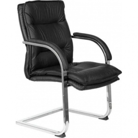 Кресло Бюрократ T-9927SL-LOW-V черный кожа низк.спин. полозья металл хром
Кресло Бюрократ T-9927SL-LOW-V черный кожа низк.спин. полозья металл хром