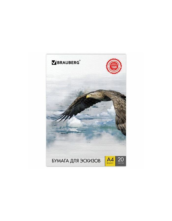Папка для рисования А4, 210х297 мм, 20 л., BRAUBERG, внутренний блок 160 г/м2, 125230, (10 шт.)
Папка для рисования А4, 210х297 мм, 20 л., BRAUBERG, внутренний блок 160 г/м2, 125230, (10 шт.)