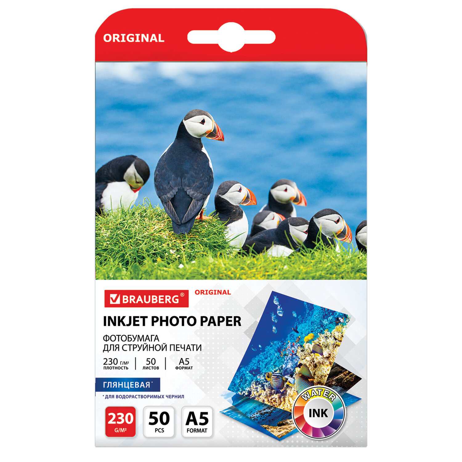363977, Фотобумага глянцевая, А5, 230 г/м2, односторонняя, 50 листов, BRAUBERG ORIGINAL, 363977
363977, Фотобумага глянцевая, А5, 230 г/м2, односторонняя, 50 листов, BRAUBERG ORIGINAL, 363977
