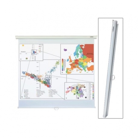 Экран проекционный LUMIEN ECO PICTURE, матовый, настенный, 180х180 см, 1:1, LEP-100102
Экран проекционный LUMIEN ECO PICTURE, матовый, настенный, 180х180 см, 1:1, LEP-100102