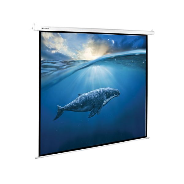 Экран проекционный BRAUBERG MOTO, матовый, настенный, электропривод, 180х180 см, 1:1, 236733
Экран проекционный BRAUBERG MOTO, матовый, настенный, электропривод, 180х180 см, 1:1, 236733