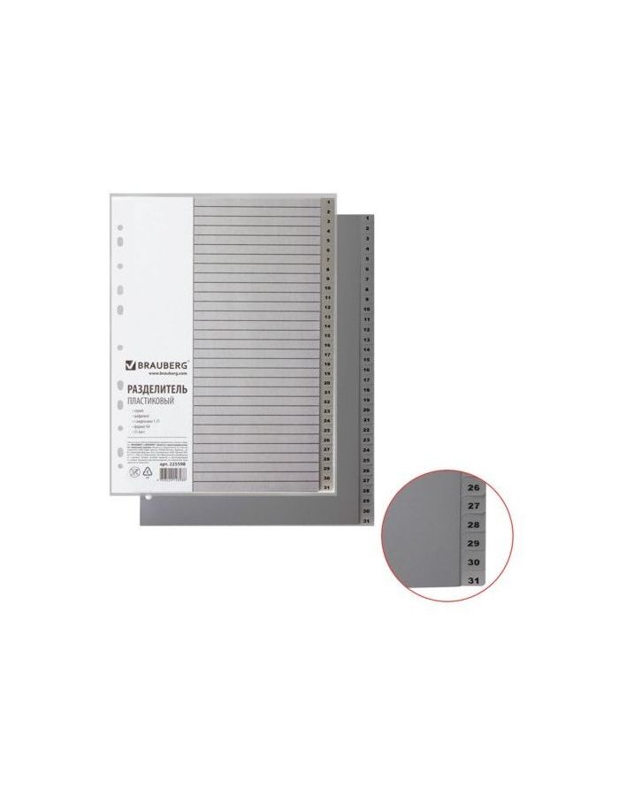 Разделитель пластиковый BRAUBERG, А4, 31 лист, цифровой 1-31, оглавление, серый, 225598
Разделитель пластиковый BRAUBERG, А4, 31 лист, цифровой 1-31, оглавление, серый, 225598