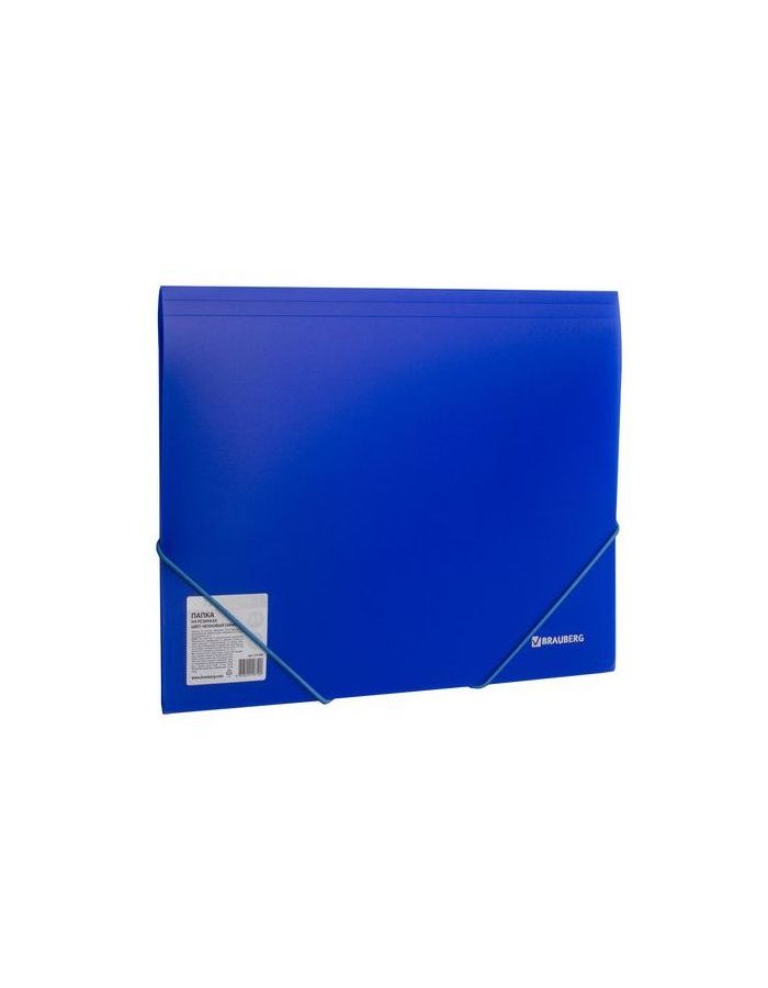 Папка на резинках BRAUBERG Neon, неоновая, синяя, до 300 листов, 0,5 мм, 227463, (10 шт.)
Папка на резинках BRAUBERG Neon, неоновая, синяя, до 300 листов, 0,5 мм, 227463, (10 шт.)