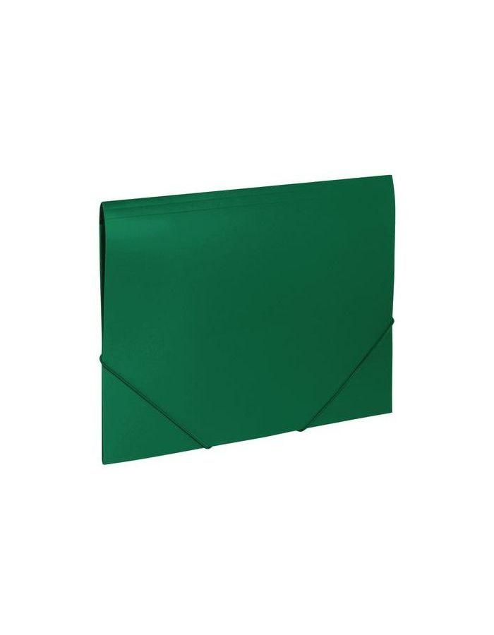 Папка на резинках BRAUBERG Office, зеленая, до 300 листов, 500 мкм, 227710, (10 шт.)
Папка на резинках BRAUBERG Office, зеленая, до 300 листов, 500 мкм, 227710, (10 шт.)