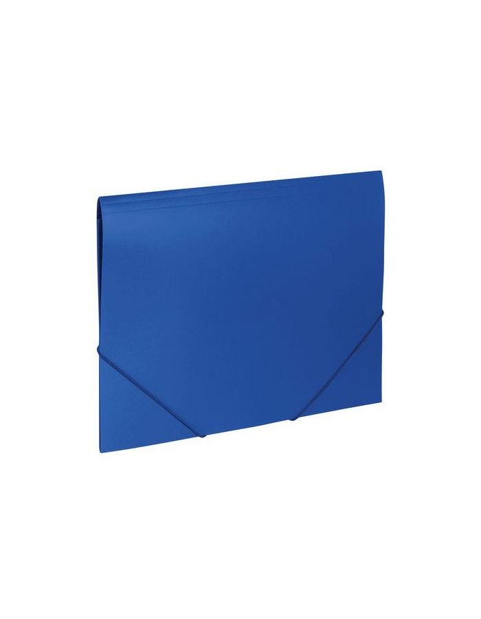 Папка на резинках BRAUBERG Office, синяя, до 300 листов, 500 мкм, 227712, (10 шт.)
Папка на резинках BRAUBERG Office, синяя, до 300 листов, 500 мкм, 227712, (10 шт.)