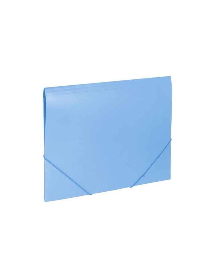 Папка на резинках BRAUBERG Office, голубая, до 300 листов, 500 мкм, 228078, (10 шт.)
Папка на резинках BRAUBERG Office, голубая, до 300 листов, 500 мкм, 228078, (10 шт.)