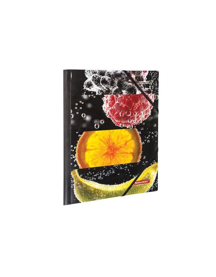 228036, (цена за 6 шт.) Папка на резинках BRAUBERG FRESH ZONE, А4, цветная печать, до 300 листов, 500 мкм
228036, (цена за 6 шт.) Папка на резинках BRAUBERG FRESH ZONE, А4, цветная печать, до 300 листов, 500 мкм