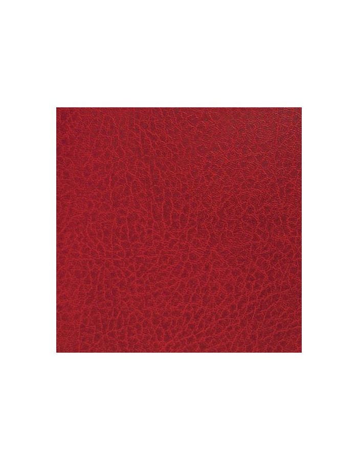 Ежедневник BRAUBERG недатированный, А5, 138х213 мм, Profile, под фактурную кожу, 160 л., бордовый, 123427
Ежедневник BRAUBERG недатированный, А5, 138х213 мм, Profile, под фактурную кожу, 160 л., бордовый, 123427