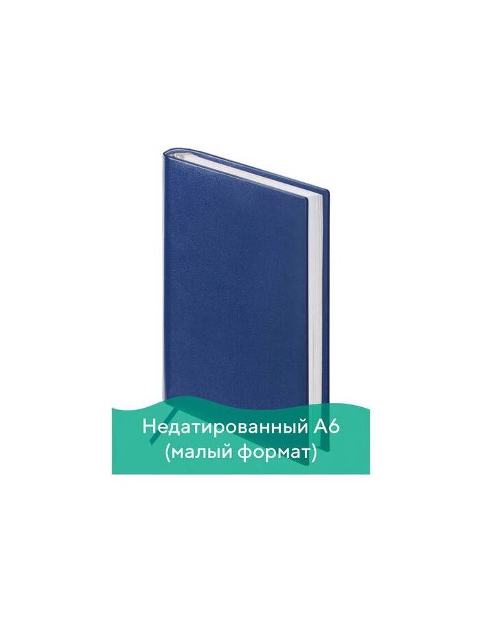 Ежедневник BRAUBERG недатированный, А6, 100х150 мм, Select, под зернистую кожу, 160 л., темно-синий, 123481
Ежедневник BRAUBERG недатированный, А6, 100х150 мм, Select, под зернистую кожу, 160 л., темно-синий, 123481