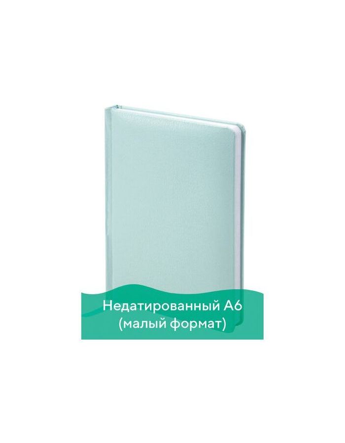 Ежедневник недатированный МАЛЫЙ ФОРМАТ (100x150 мм) А6, BRAUBERG "Profile", 136 л., мятный, 111692
Ежедневник недатированный МАЛЫЙ ФОРМАТ (100x150 мм) А6, BRAUBERG "Profile", 136 л., мятный, 111692