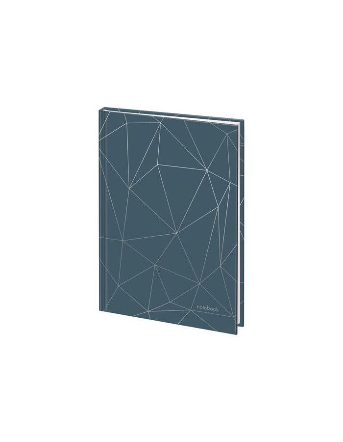 113526, Ежедневник недатированный А5 (145х215 мм), ламинированная обложка с фольгой, 128 л., STAFF, Silver, 113526
113526, Ежедневник недатированный А5 (145х215 мм), ламинированная обложка с фольгой, 128 л., STAFF, Silver, 113526