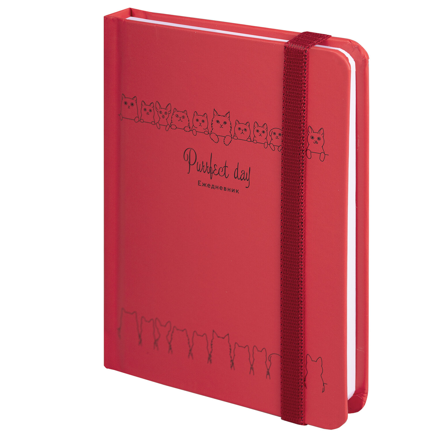 114571, Ежедневник недатированный с резинкой, МАЛЫЙ ФОРМАТ А6 (109х148 мм), BRAUBERG, 128 л., "Котики", 114571
114571, Ежедневник недатированный с резинкой, МАЛЫЙ ФОРМАТ А6 (109х148 мм), BRAUBERG, 128 л., "Котики", 114571