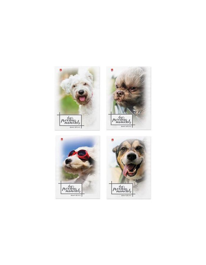 Блокнот А7 40л., скоба, ламинированный картон, клетка, Альт, Щеночки, (4 вида), 3-40-107 (100 шт.)
Блокнот А7 40л., скоба, ламинированный картон, клетка, Альт, Щеночки, (4 вида), 3-40-107 (100 шт.)