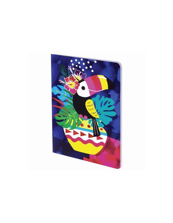 Блокнот МАЛЫЙ ФОРМАТ (103х148 мм) А6, 32 л., сшивка, голограмма, клетка, ЮНЛАНДИЯ, Тукан, 662702
Блокнот МАЛЫЙ ФОРМАТ (103х148 мм) А6, 32 л., сшивка, голограмма, клетка, ЮНЛАНДИЯ, Тукан, 662702