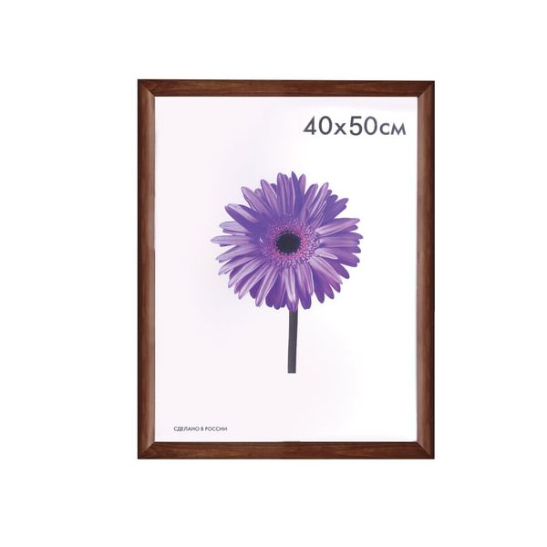 Рамка премиум 40х50 см, дерево, багет 26 мм, Berta, орех, 0006-16-0006
Рамка премиум 40х50 см, дерево, багет 26 мм, Berta, орех, 0006-16-0006