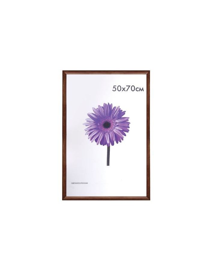 Рамка премиум 50х70 см, дерево, багет 26 мм, Berta, орех, 0006-50-0006
Рамка премиум 50х70 см, дерево, багет 26 мм, Berta, орех, 0006-50-0006