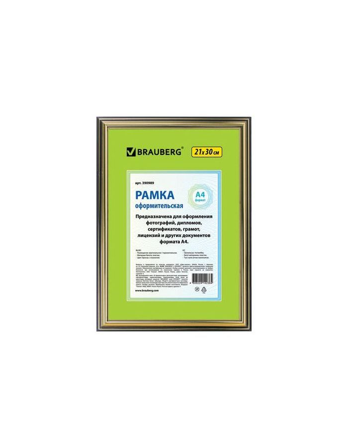 Рамка 21х30 см, пластик, багет 20 мм, BRAUBERG HIT3, бронза с двойной позолотой, стекло, 390989
Рамка 21х30 см, пластик, багет 20 мм, BRAUBERG HIT3, бронза с двойной позолотой, стекло, 390989