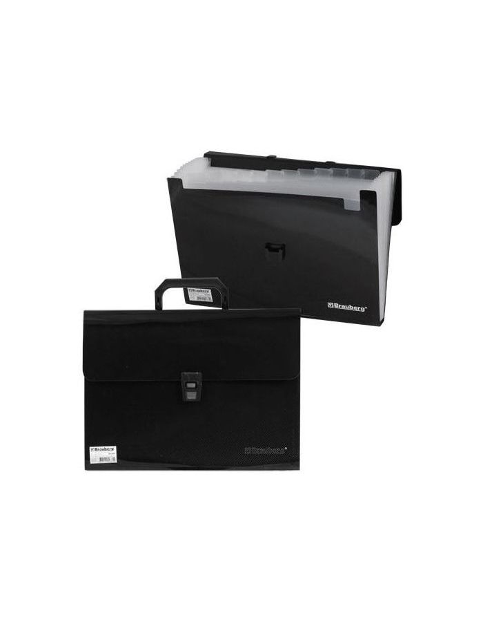 Портфель пластиковый BRAUBERG А4 (332х245х35 мм), 13 отделений, индексные ярлыки, фактура диагональ, черный, 221375
Портфель пластиковый BRAUBERG А4 (332х245х35 мм), 13 отделений, индексные ярлыки, фактура диагональ, черный, 221375