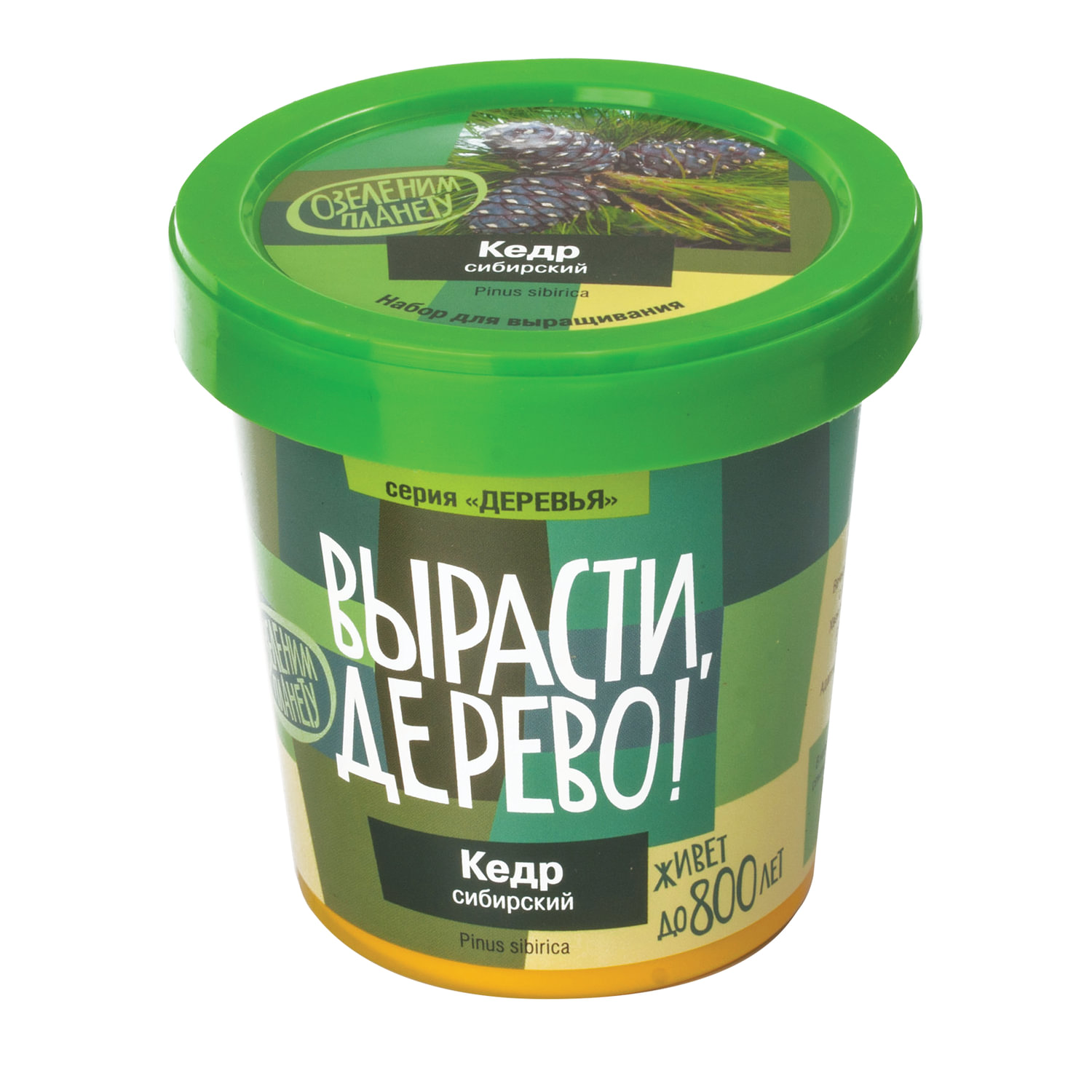 Набор для выращивания растений ВЫРАСТИ ДЕРЕВО! Кедр Сибирский (банка, грунт, семена), zk-001
Набор для выращивания растений ВЫРАСТИ ДЕРЕВО! Кедр Сибирский (банка, грунт, семена), zk-001