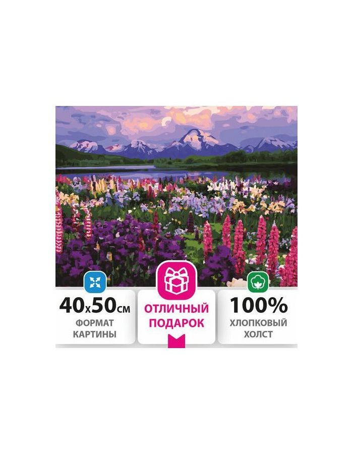 Картина по номерам 40х50 см, ОСТРОВ СОКРОВИЩ "Горный пейзаж", на подрамнике, акриловые краски, 3 кисти, 662488
Картина по номерам 40х50 см, ОСТРОВ СОКРОВИЩ "Горный пейзаж", на подрамнике, акриловые краски, 3 кисти, 662488