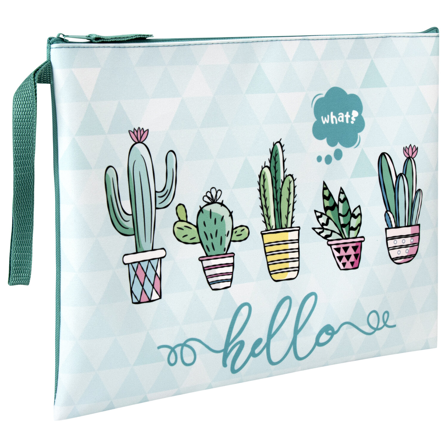 270325, Папка для тетрадей BRAUBERG А4, 1 отделение, полиэстер, на молнии, с ручкой, "Cactus", 270325
270325, Папка для тетрадей BRAUBERG А4, 1 отделение, полиэстер, на молнии, с ручкой, "Cactus", 270325