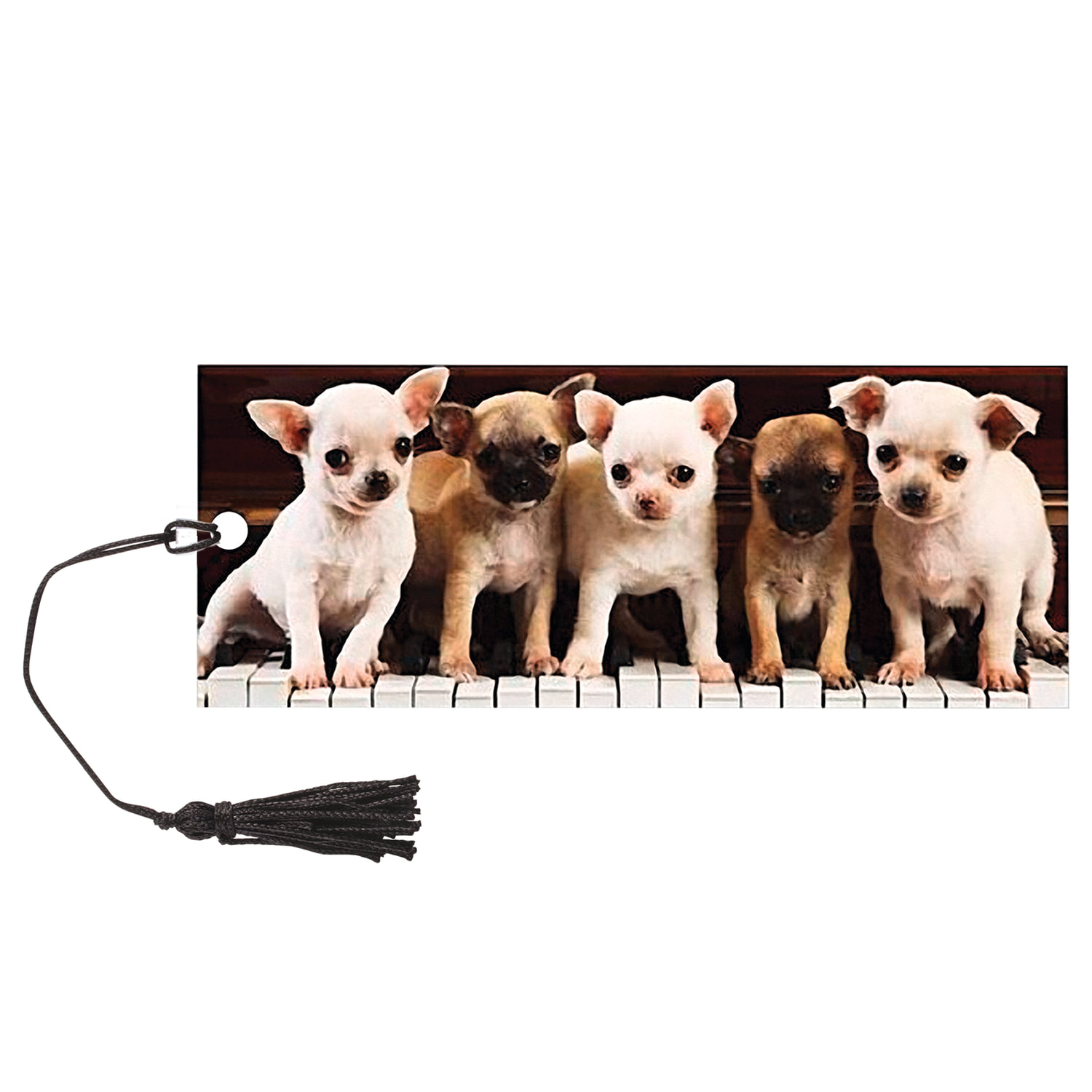 Закладка для книг с линейкой, 3D-объемная, BRAUBERG Милые щенки, с декоративным шнурком, 128098, (12 шт.)
Закладка для книг с линейкой, 3D-объемная, BRAUBERG Милые щенки, с декоративным шнурком, 128098, (12 шт.)