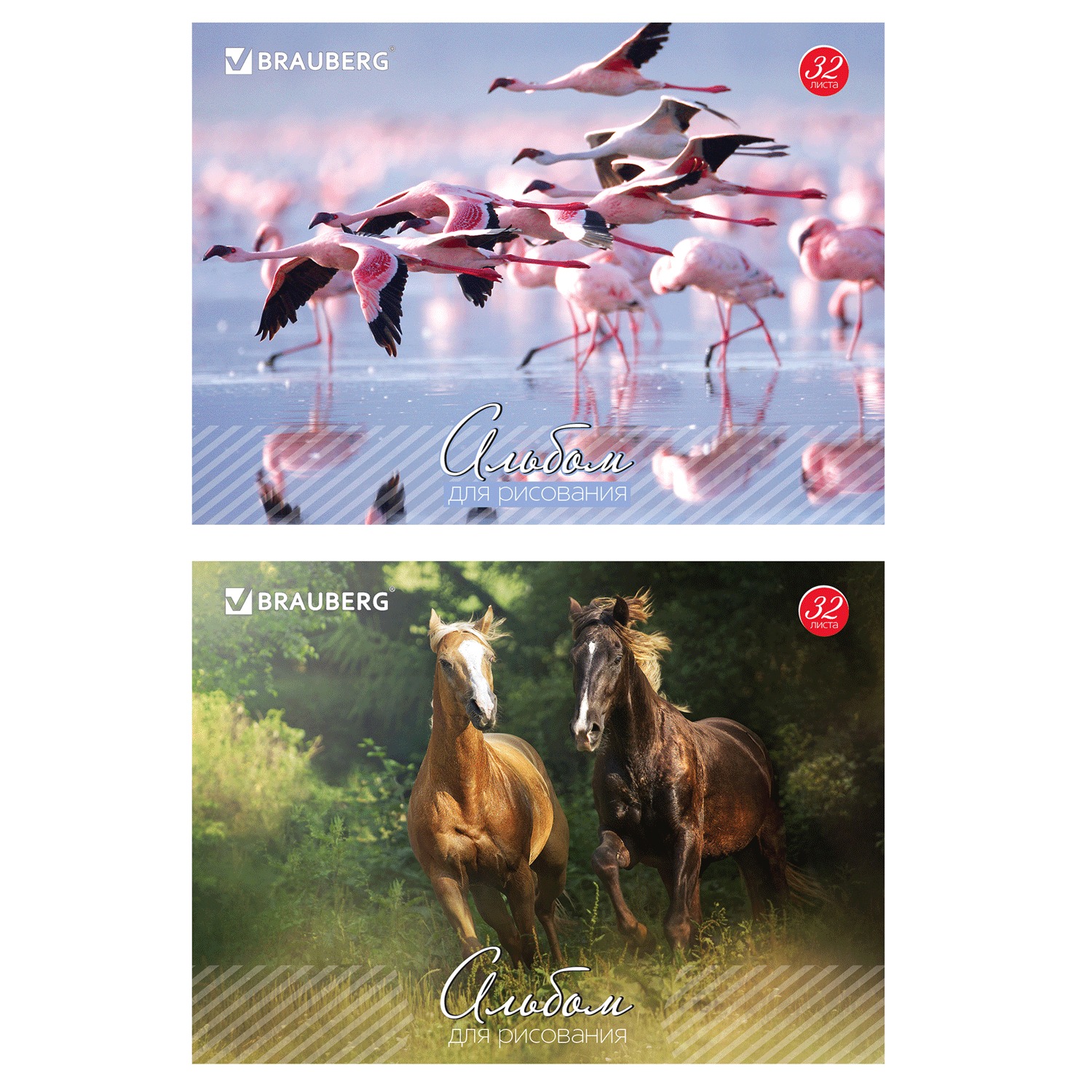 Альбом для рисования, А4, 32 листа, скоба, обложка картон, BRAUBERG, 200х283 мм, Живая природа, 103683, (15 шт.)
Альбом для рисования, А4, 32 листа, скоба, обложка картон, BRAUBERG, 200х283 мм, Живая природа, 103683, (15 шт.)