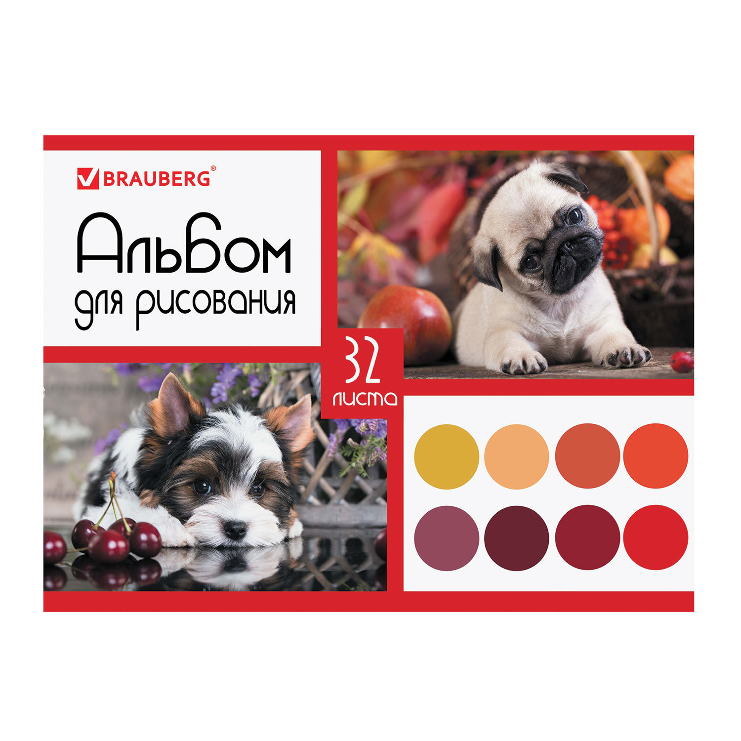 Альбом для рисования А4 32 листа, гребень, выборочный лак, BRAUBERG, 205х290 мм, Собачки, 105081, (12 шт.)
Альбом для рисования А4 32 листа, гребень, выборочный лак, BRAUBERG, 205х290 мм, Собачки, 105081, (12 шт.)