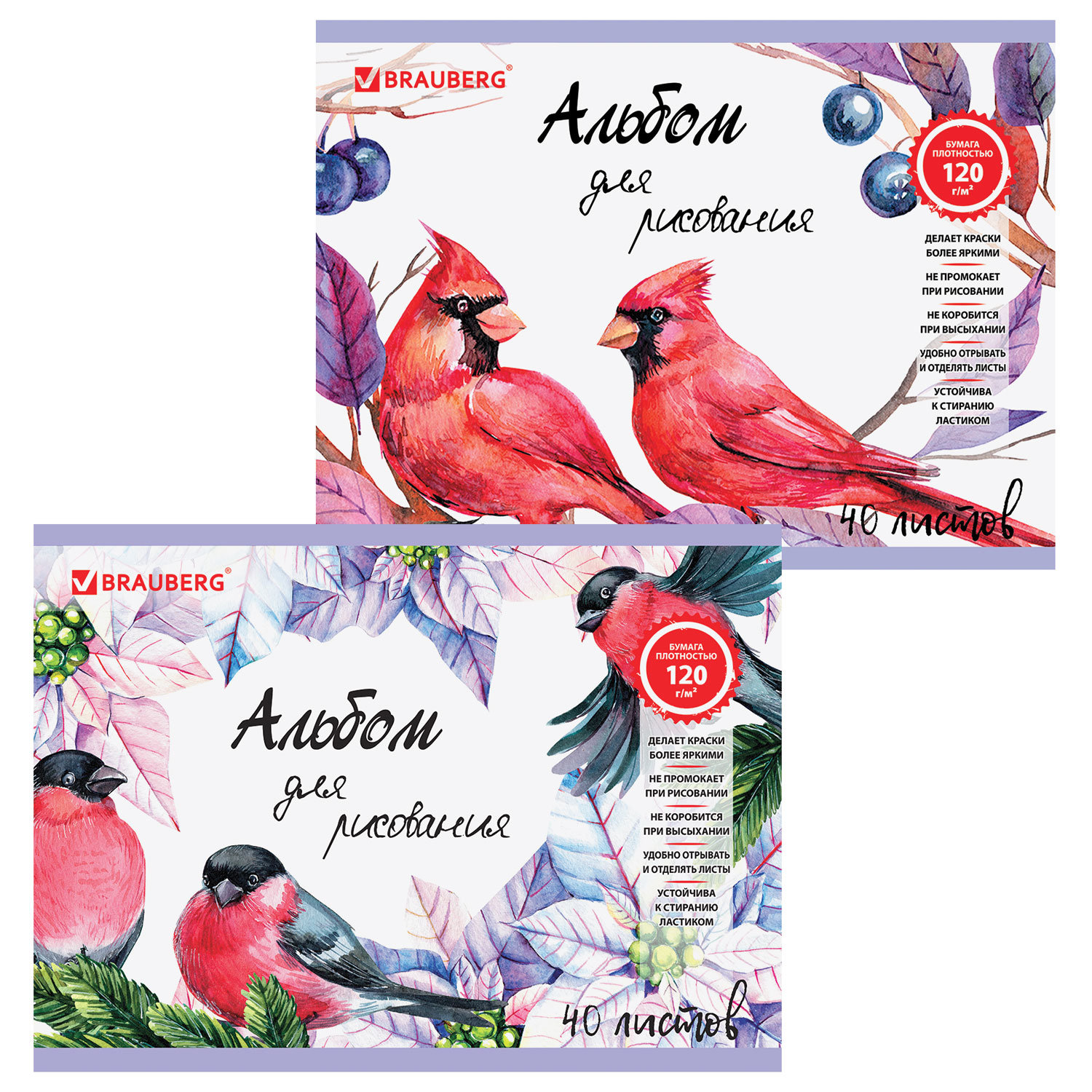 Альбом для рисования, А4, 40 л., гребень, выборочный лак, подложка, внутренний блок 120 г/м, BRAUBERG, 205х290 мм, Птицы, 105103, (12 шт.)
Альбом для рисования, А4, 40 л., гребень, выборочный лак, подложка, внутренний блок 120 г/м, BRAUBERG, 205х290 мм, Птицы, 105103, (12 шт.)