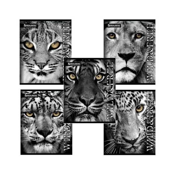 Тетрадь А5, 48 л., BRAUBERG ЭКО, линия, обложка картон, ДИКИЕ И СВОБОДНЫЕ, 401897, (30 шт.)
Тетрадь А5, 48 л., BRAUBERG ЭКО, линия, обложка картон, ДИКИЕ И СВОБОДНЫЕ, 401897, (30 шт.)