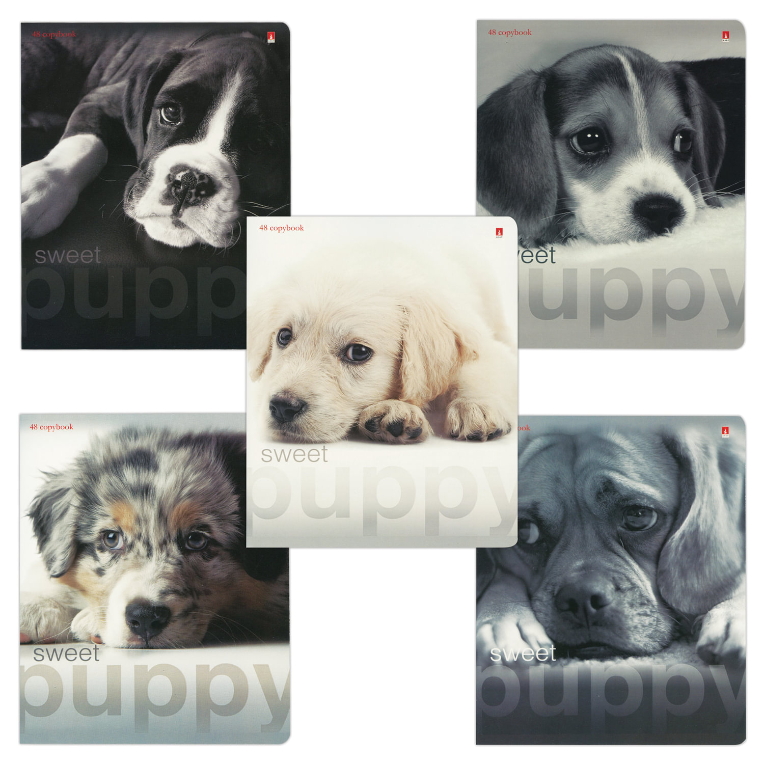 Тетрадь А5, 48 л., АЛЬТ, скоба, клетка, гибридный лак, ЩЕНКИ (5 видов), 7-48-640 Д, (20 шт.)
Тетрадь А5, 48 л., АЛЬТ, скоба, клетка, гибридный лак, ЩЕНКИ (5 видов), 7-48-640 Д, (20 шт.)