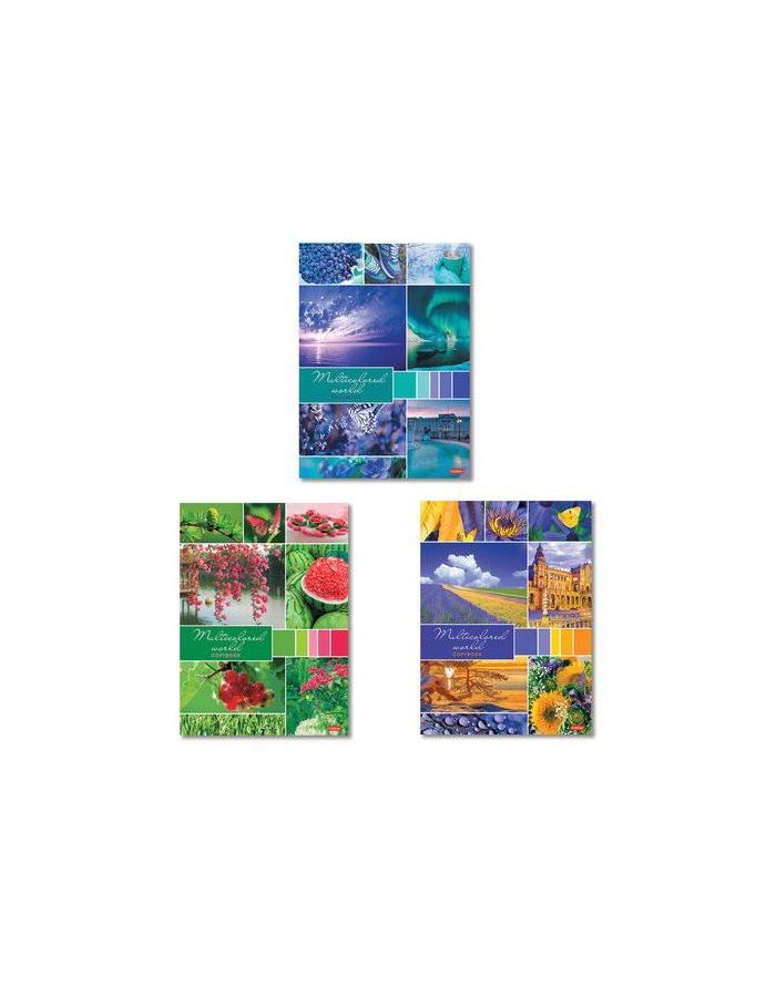 Тетрадь А4, 96 л., HATBER, скоба, клетка, обложка картон, Разноцветный мир (3 вида), 96Т4В3, (10 шт.)
Тетрадь А4, 96 л., HATBER, скоба, клетка, обложка картон, Разноцветный мир (3 вида), 96Т4В3, (10 шт.)