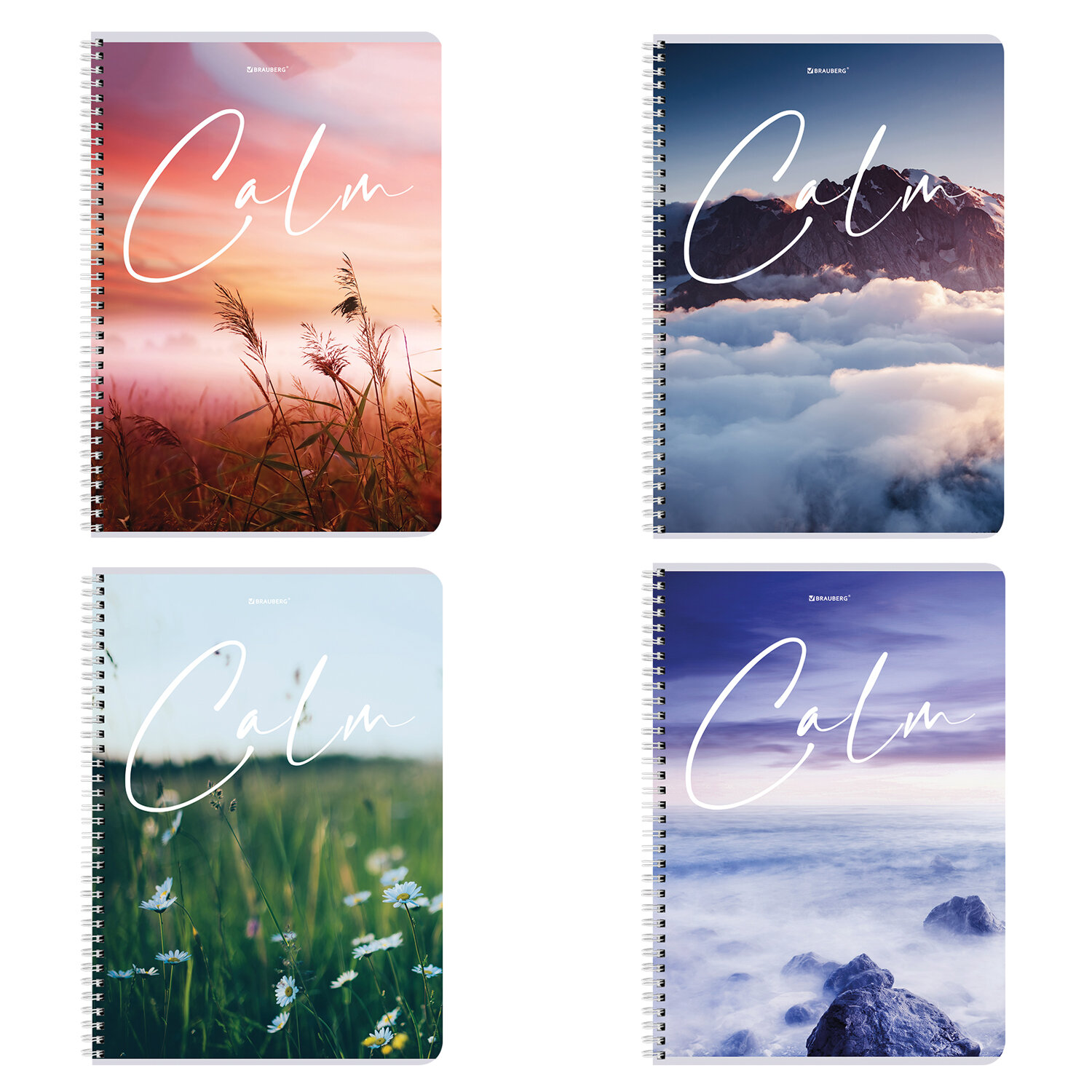 404059, Тетрадь А4, 96 л., BRAUBERG, гребень, клетка, обложка картон, "Calm", 404059
404059, Тетрадь А4, 96 л., BRAUBERG, гребень, клетка, обложка картон, "Calm", 404059
