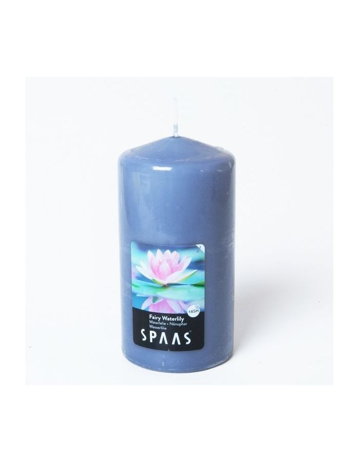 Свеча АРОМА СТОЛБИК 8/15см Волшебная кувшинка (65ч) SPAAS
Свеча АРОМА СТОЛБИК 8/15см Волшебная кувшинка (65ч) SPAAS