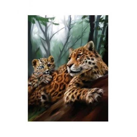 Алмазная вышивка Школа талантов 30x40 см "Леопарды" арт.5371223
Алмазная вышивка Школа талантов 30x40 см "Леопарды" арт.5371223