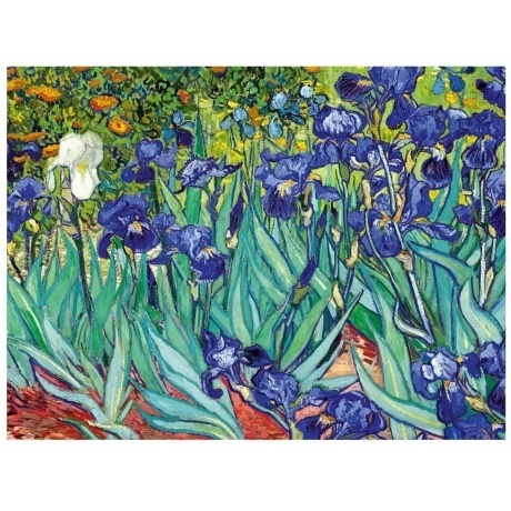 Алмазная вышивка Школа талантов 30х40 см "Ирисы" арт.5276519
Алмазная вышивка Школа талантов 30х40 см "Ирисы" арт.5276519