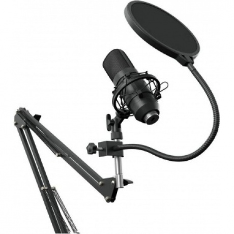 Микрофон проводной Оклик SM-700G 2.5м черный
Микрофон проводной Оклик SM-700G 2.5м черный