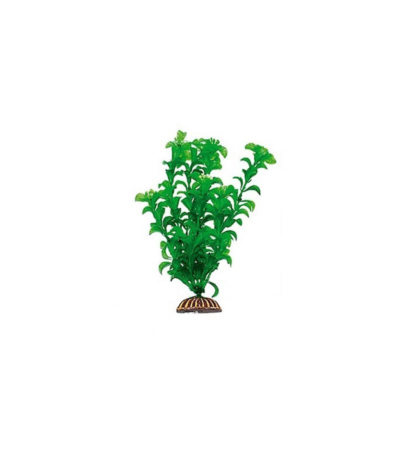 

Растение Triton пластмассовое 25 см 2552