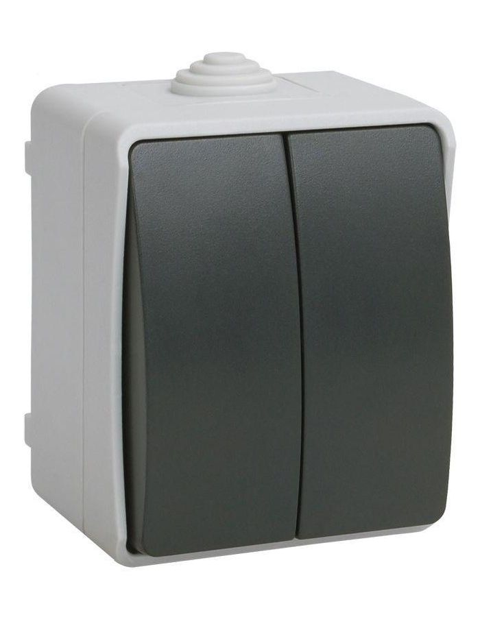 Выключатель 2-кл. ОП Форс 10А IP54 ВС20-2-0-ФСр сер. ИЭК EVS20-K03-10-54-DC
Выключатель 2-кл. ОП Форс 10А IP54 ВС20-2-0-ФСр сер. ИЭК EVS20-K03-10-54-DC