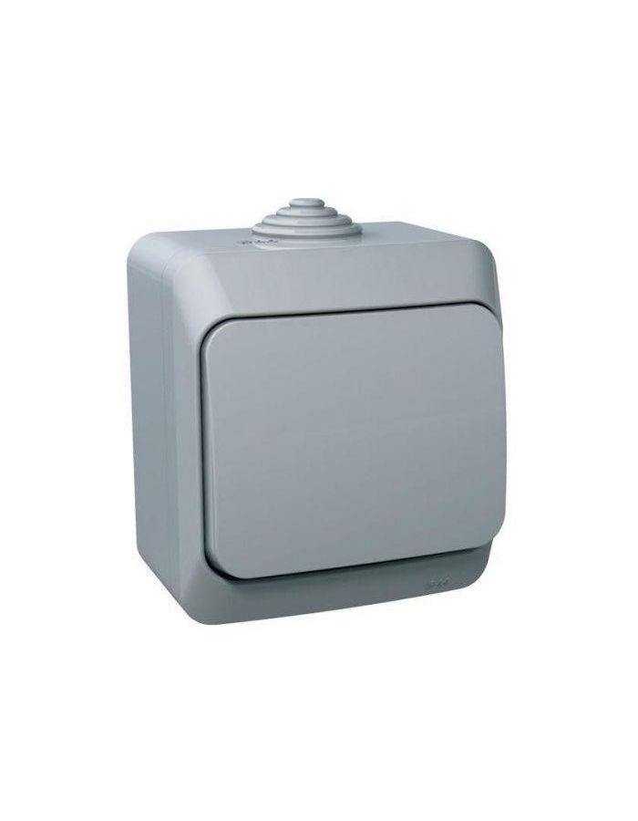 Выключатель 1-кл. ОП Этюд 10А IP44 10AX сер. SchE BA10-041C
Выключатель 1-кл. ОП Этюд 10А IP44 10AX сер. SchE BA10-041C