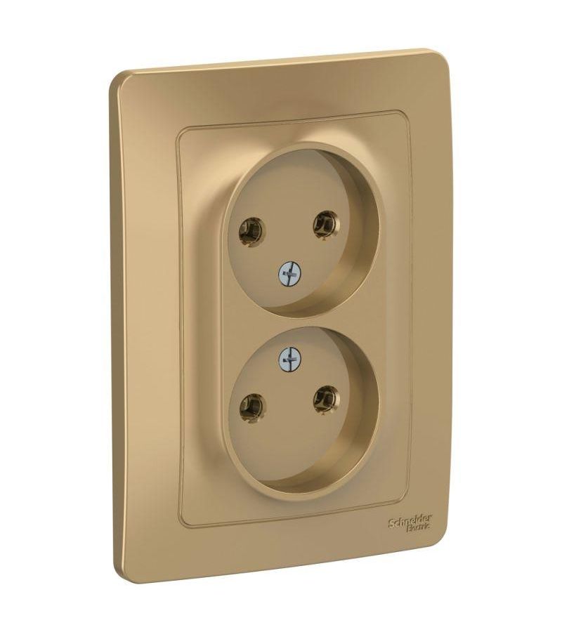 Розетка 2-м СП BLANCA 16А 250В без шторок без заземл. титан SchE BLNRS000024
Розетка 2-м СП BLANCA 16А 250В без шторок без заземл. титан SchE BLNRS000024