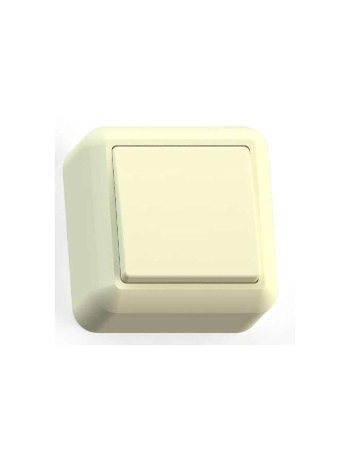 Выключатель 1-кл. ОП Оптима 10А IP20 А110-377 с монтаж. пластиной сл. кость Кунцево 8030
Выключатель 1-кл. ОП Оптима 10А IP20 А110-377 с монтаж. пластиной сл. кость Кунцево 8030