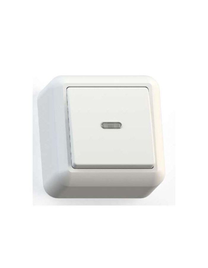 Выключатель 1-кл. ОП Оптима 10А IP20 А110-386 с индикацией с монтаж. пластиной бел. Кунцево 8001
Выключатель 1-кл. ОП Оптима 10А IP20 А110-386 с индикацией с монтаж. пластиной бел. Кунцево 8001