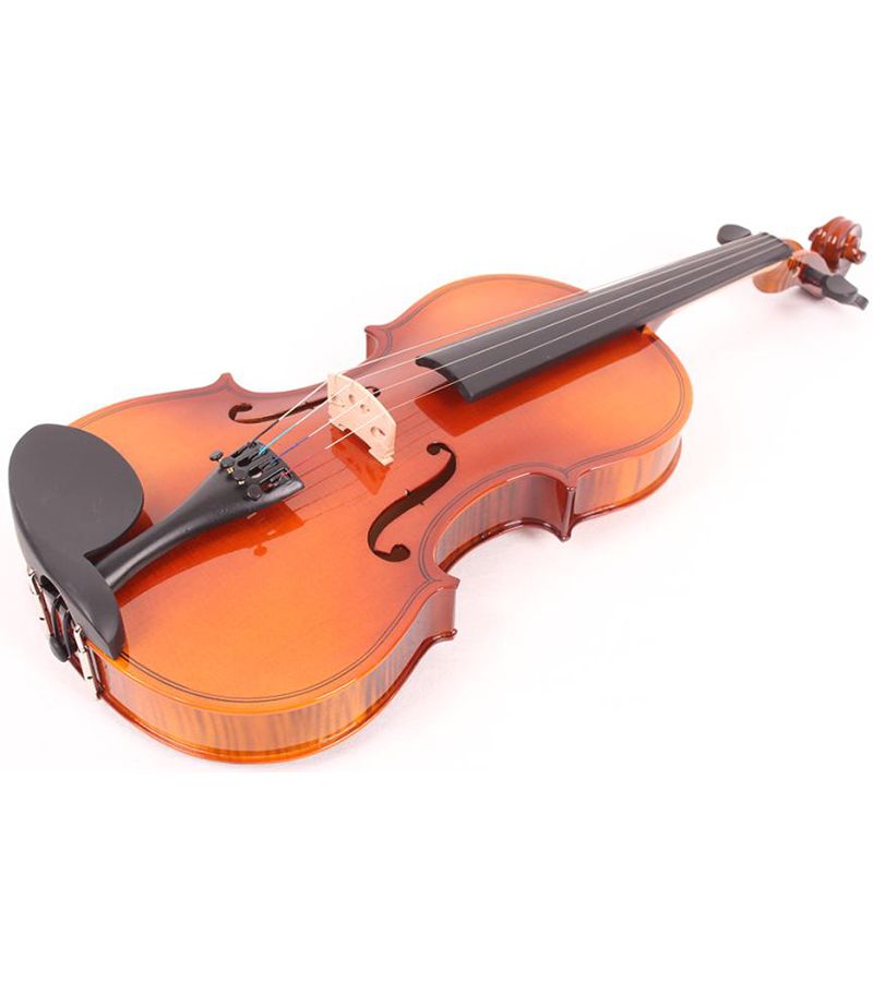 Скрипка Mirra VB-290-1/2 комплект с футляром и смычком
Скрипка Mirra VB-290-1/2 комплект с футляром и смычком