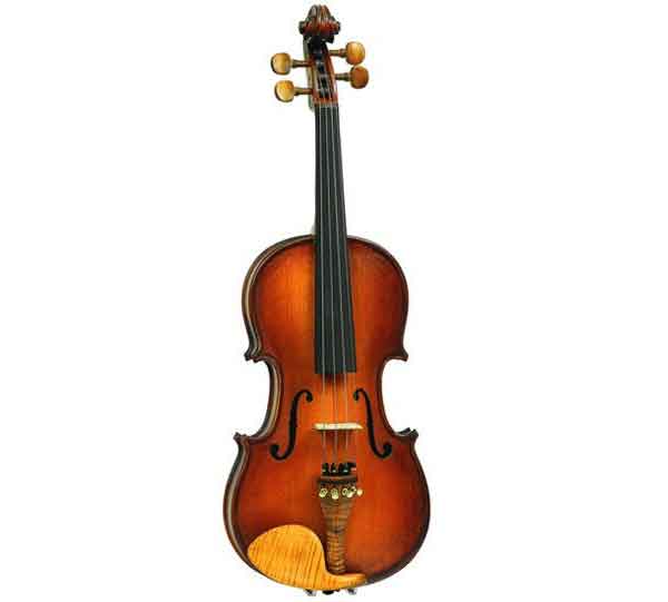 Скрипка Gliga SG-V044 Student Genial I Gloria 4/4
Скрипка Gliga SG-V044 Student Genial I Gloria 4/4