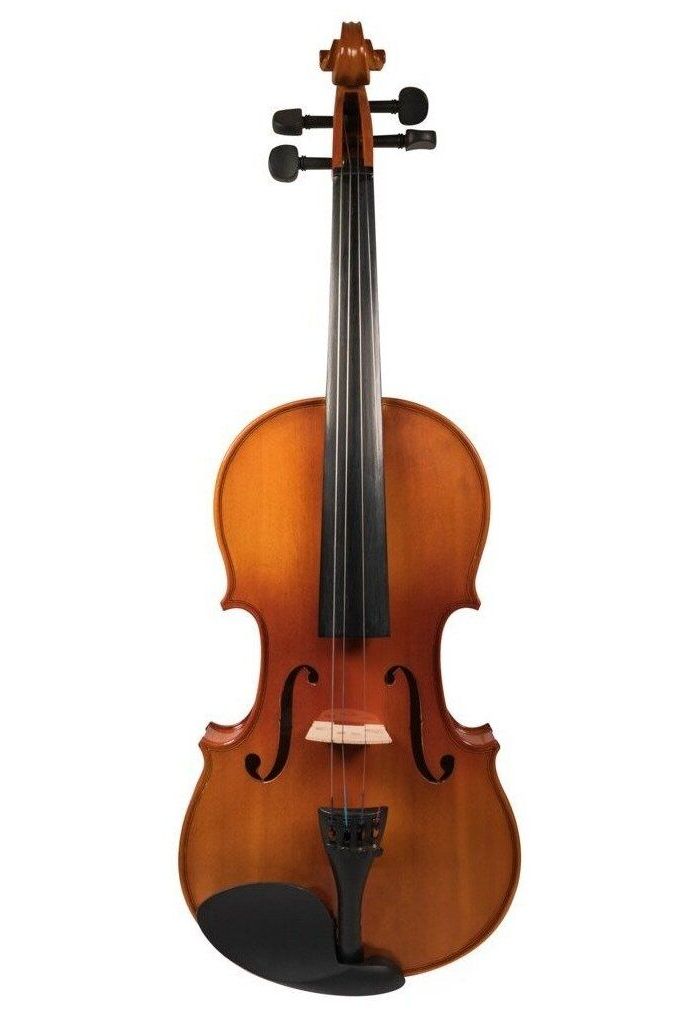 Скрипка Mirra VB-310-1/2 в футляре со смычком
Скрипка Mirra VB-310-1/2 в футляре со смычком