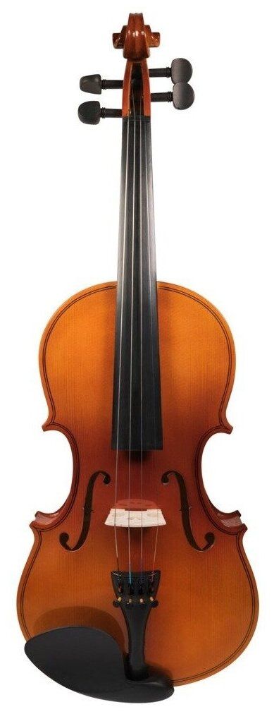 Скрипка Mirra VB-290-3/4 в футляре со смычком
Скрипка Mirra VB-290-3/4 в футляре со смычком