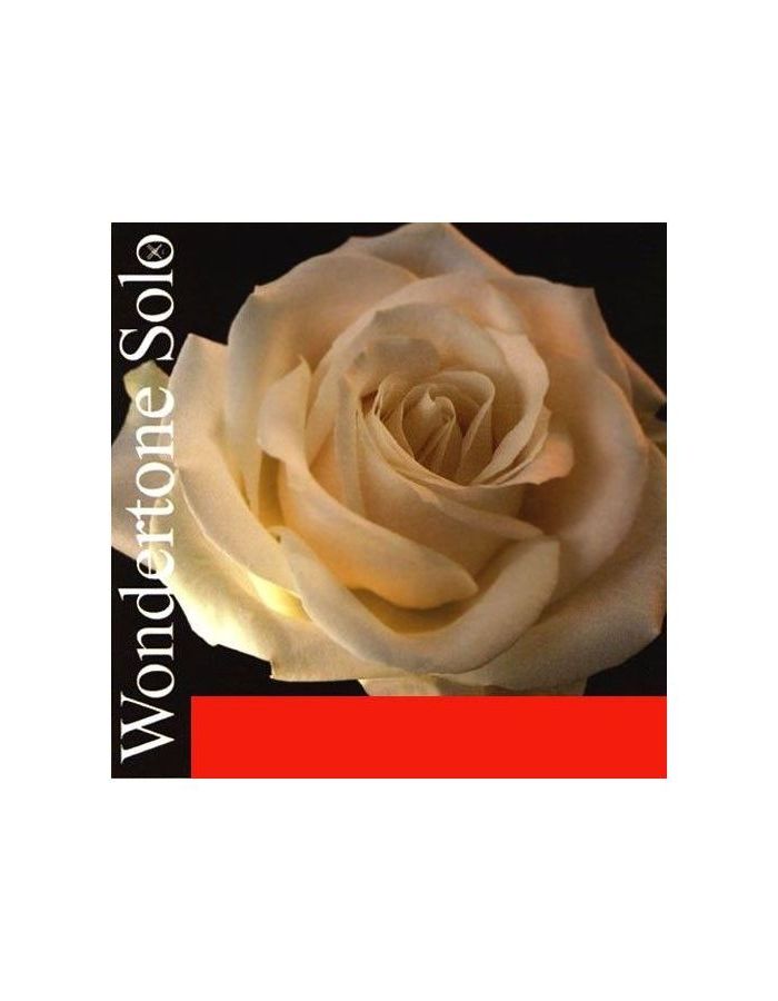 Струны Pirastro 410521 Wondertone Solo для скрипки
Струны Pirastro 410521 Wondertone Solo для скрипки